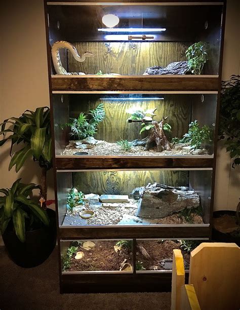 Diy Reptile Enclosure 🐍 Reptile Room Reptile Enclosure Diy Reptile