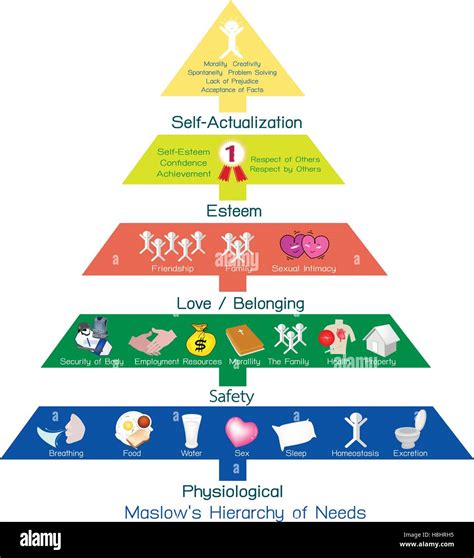 Maslows Need Hierarchy Theory Pyramid Diagram Stock Illustration