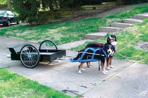 Flashback Tandem Dog Cart Something To Share