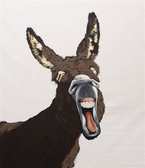 Laughing Donkey On White By Josh Brown Studio E Gallery