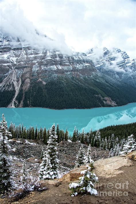 Peyto Lake In Fall Photograph By Ed Mcdermott Pixels
