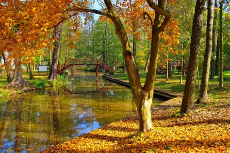 Top 6 Luoghi Da Vedere Autumn Leaves In Germania
