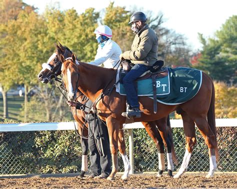 Breeders Cup Barn Notes Updates On Classic The Pressbox