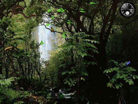 Rainy Forest Wallpaper Wallpapersafari