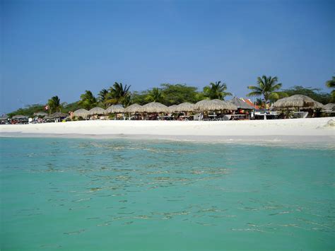 Palm Eagle Beach Aruba Picture Tripadvisor Top 10