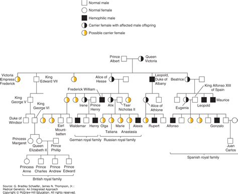 Hemophilia the royal disease answers | answers from. Heart Disease Family History Genetics - Cardiovascular Disease