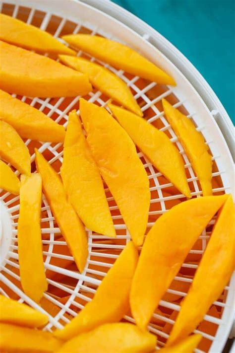 Dried Mango Slices in the Dehydrator - The Cookie Writer