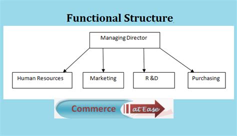 😎 Functional And Divisional Structure Comparison Of Functional And