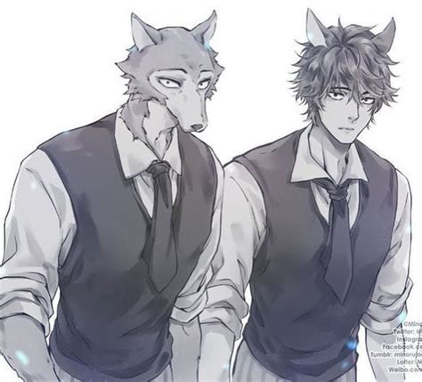 🐶🐺🐾imagenes De Beastars🐰🐼legosi X Lois 17 Anime Wolf Animales De