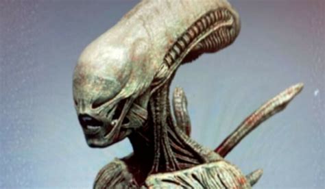 Xenomorph Hybrids That Would Take The Alien To A Whole New Level Of