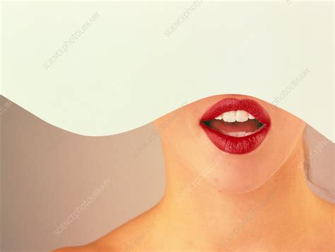 Womans Mouth Stock Image P4700026 Science Photo