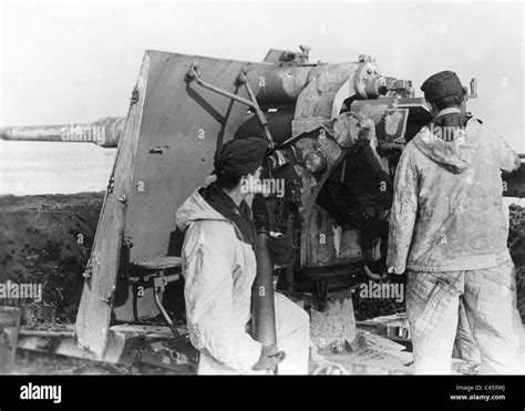 German Anti Aircraft Gun In Hungary 1945 Stock Photo Alamy