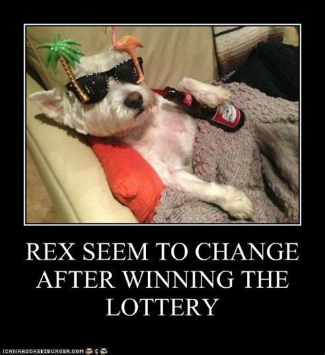 Rex Seem To Change After Winning The Lottery Lottery Winner Funny