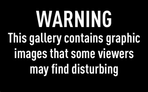 13 Warning Some Graphics Images Disturbing Images Warning Graphic