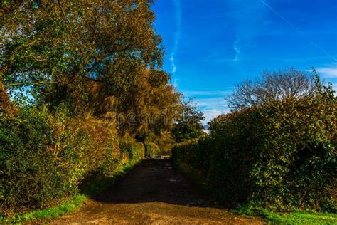 English Country Road On A Sunny Day Lush Green Vegetation Stock Image