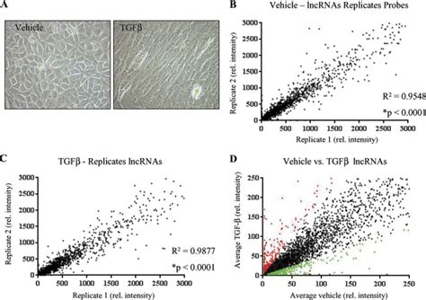 Lncrna Expression Profile Of Tgf Induced Emt In Nmumg Cells A Tgf