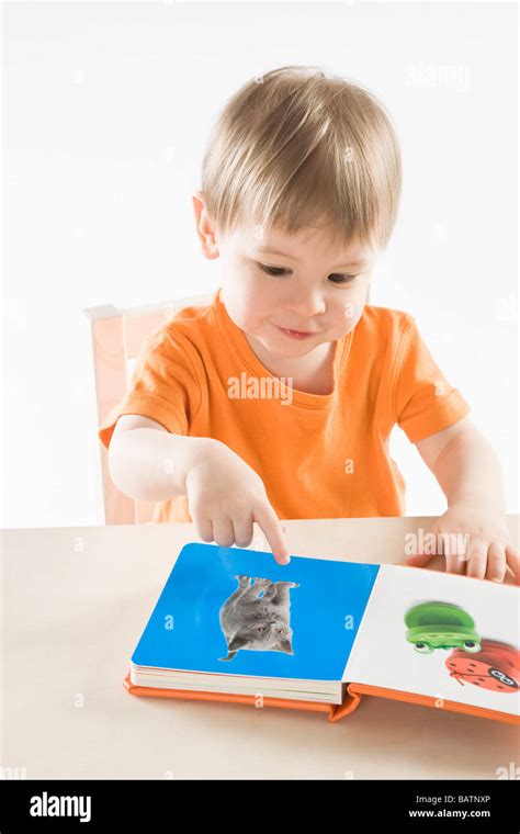 Baby Boy Showing Image In Book Stock Photo Alamy