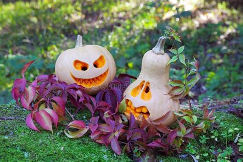 Halloween Pumpkins In Autumn Leaves Stock Image Image Of Leaf Creepy