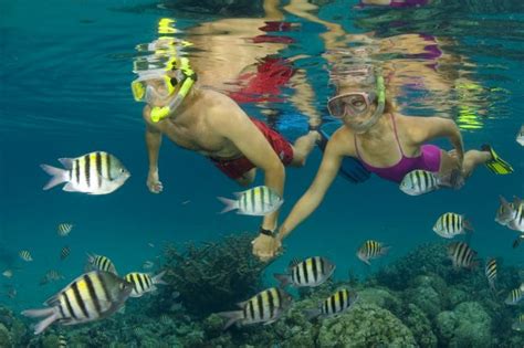 Nassau Ultimate Snorkeling Couple Bahamas Cruise Excursions