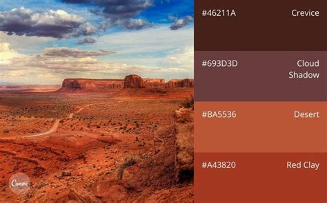 🎨 ¿cómo Crear Una Paleta De Colores Para Tu Marca 2021 Crehana