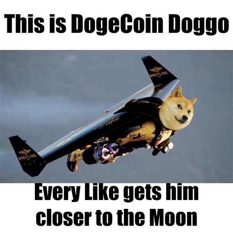 Doge Cryptocurrency