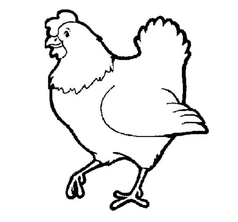 Gallina para colorear