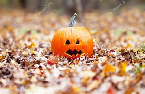 Pumpkin In Autumn Leaves Stock Photo By ©ericro 12888063