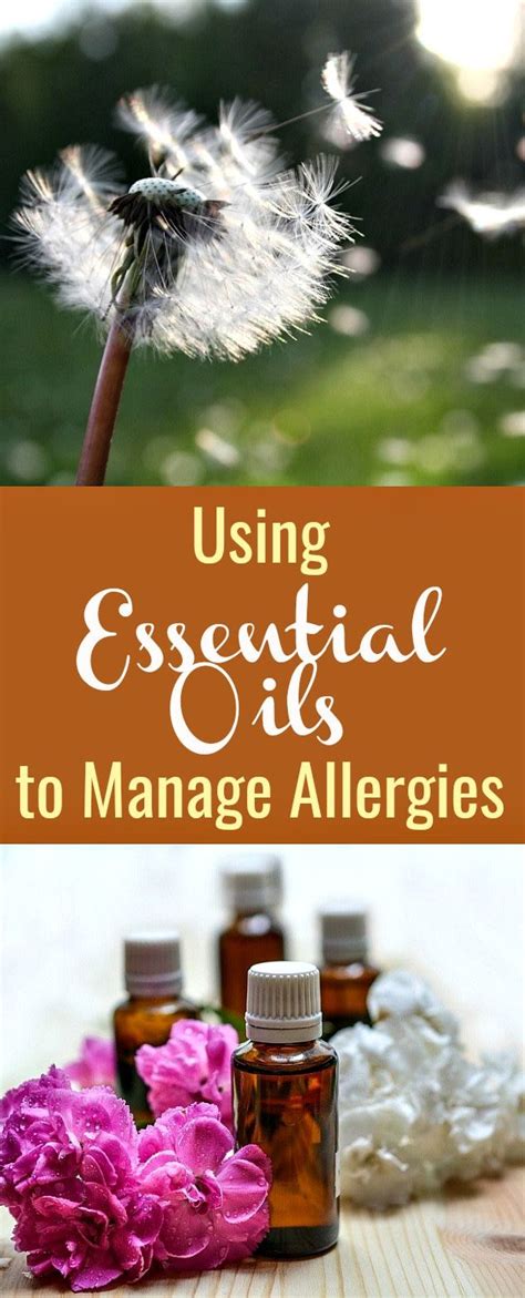 using essential oils to manage allergies using essential oils to