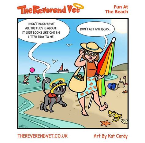 Fun At The Beach The Reverend Vet