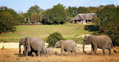 Inyati Safari Lodge In Sabi Sands Game Reserve Kruger National Park