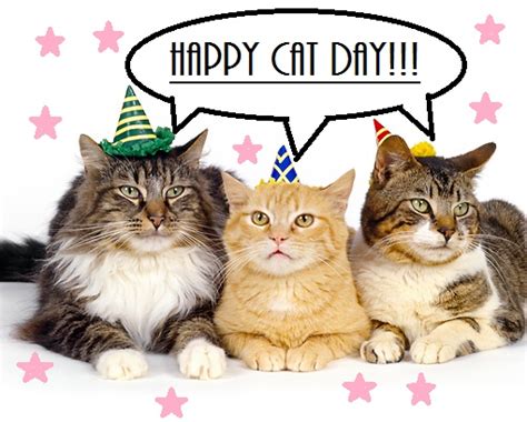 Its National Cat Day In Japan Heres How To Celebrate