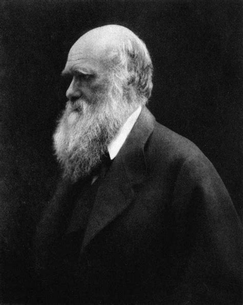 Swashvillage Charles Darwin 5 Hechos Sobre El Padre De La Evolución