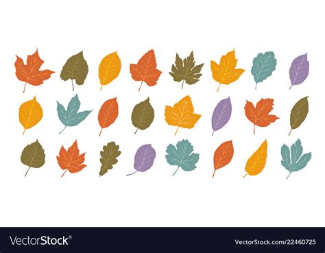 Decorative Leaves Set Autumn Leaf Fall Concept Vector Image