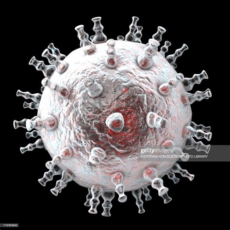 Kaposis Sarcoma Virus Illustration High Res Vector Graphic Getty Images