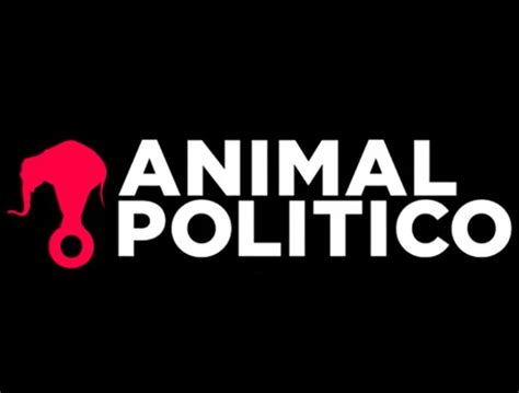 Animal Político Yan Bercep Comunicación