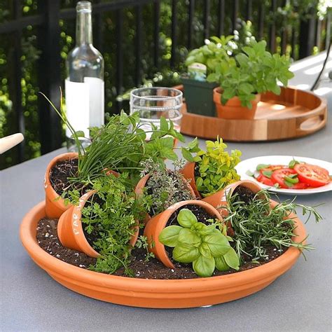 Backyard Ideas On A Budget In 2021 Dish Garden Succulent Garden Diy