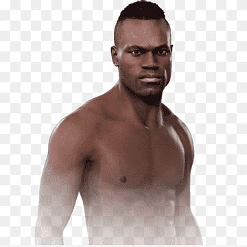 Free Download EA Sports UFC Ultimate Fighting Championship Middleweight Light Heavyweight