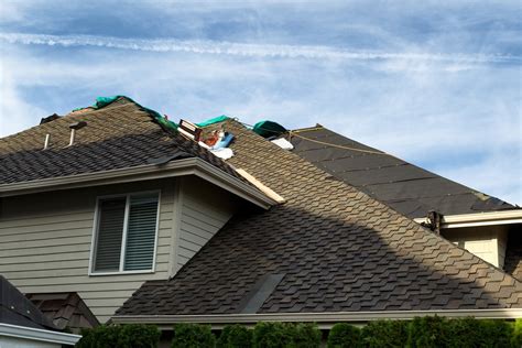 Chicago Area Chicago Roof Repair Pro Home 1