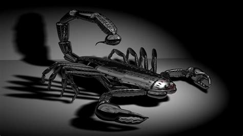 Black Scorpion Wallpapers - Top Free Black Scorpion Backgrounds