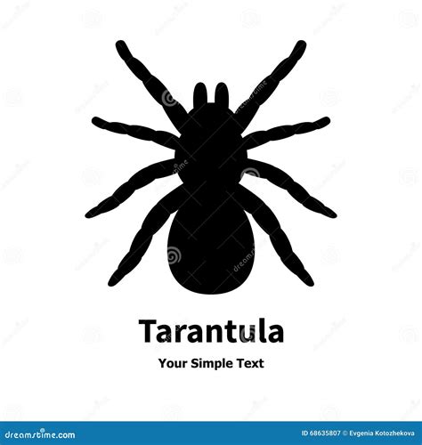 Spider Tarantula Black Silhouette Isolated On White Background Royalty