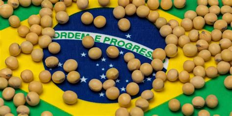 Soja 2324 Deve Registrar Menor Expansão De área Em 17 Anos No Brasil