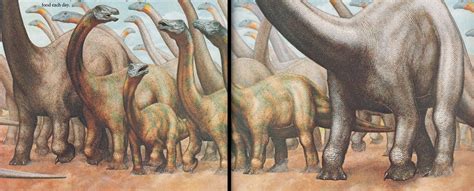 Vintage Dinosaur Art Dinosaurs And Other Archosaurs Part 2 Love In