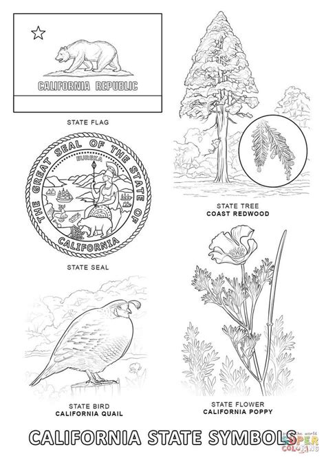 california state symbols coloring page  california category select   printable