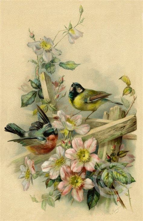 The free vintage flowers in this large collection come from an assortment of eras and are in various styles and formats, including clip art; Victorian Birds in the garden Print, Old time pink Roses ...