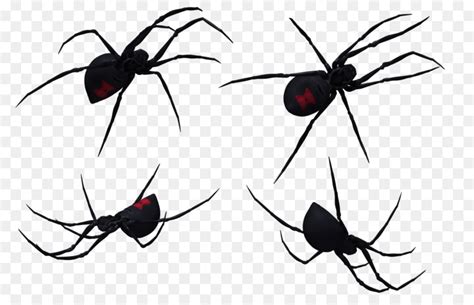 Simple Black Widow Spider Drawing Realistic Spider Drawing 素描 插画