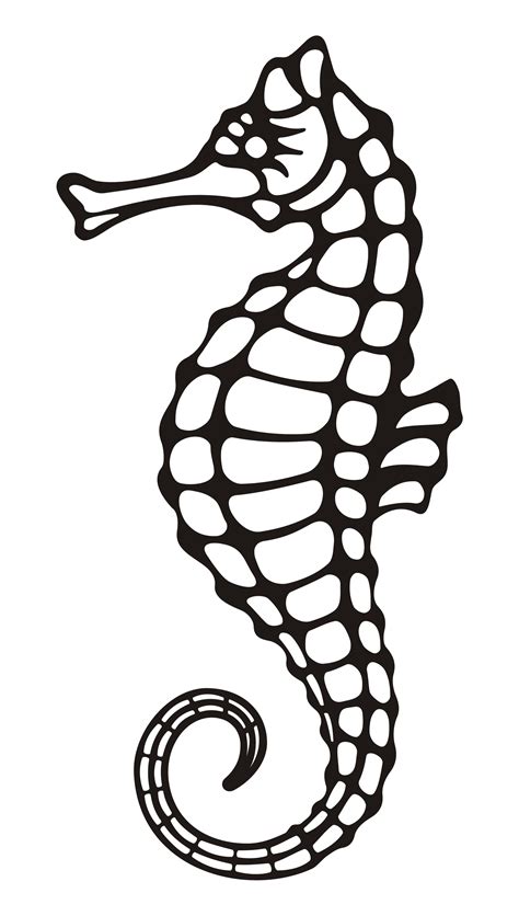 Sea Horse Drawing Clipart Best