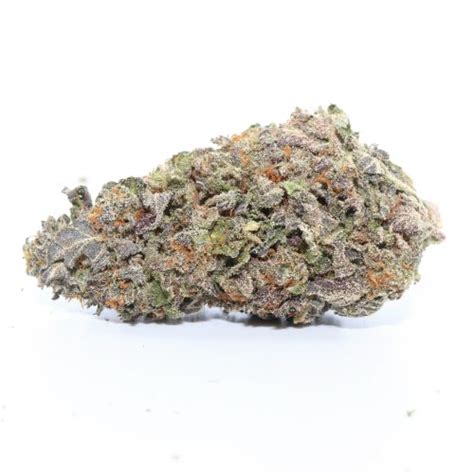 Check spelling or type a new query. Gelato 33 Marijuana strain | buy marijuana strain | buy ...