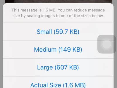 Now, swipe up on the photo to see the details panel at the bottom of the screen. How to Attach Photos to Email Messages on iPhone
