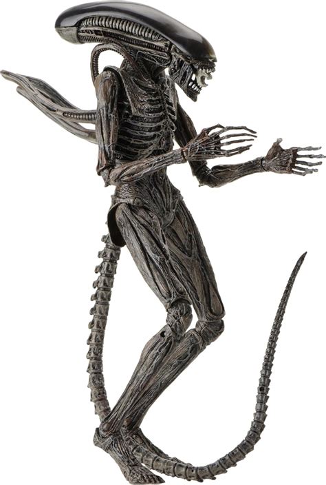 Neca Alien Covenant Scale Action Figure Xenomorph Multi Colored Inches Amazon Co
