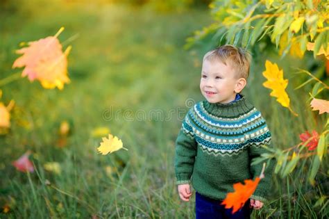 Little Boy Walks In A Beautiful Autumn Park Stock Photo Image Of Baby